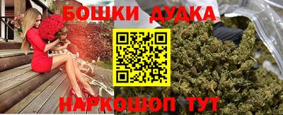 мдпв Будённовск